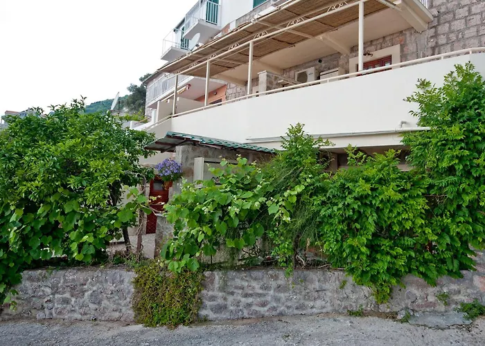 Medin Di Lastua