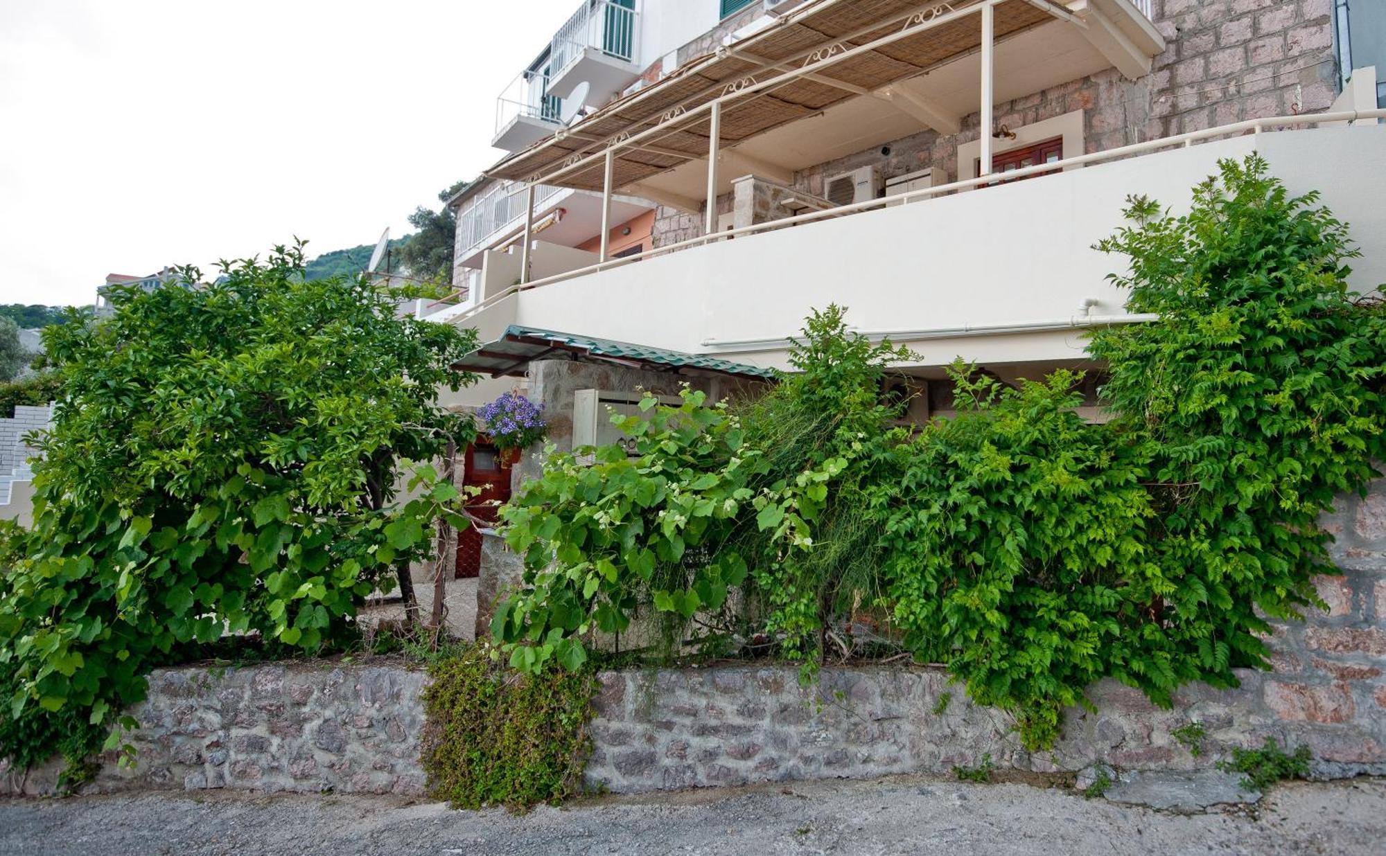Medin Di Lastua Daire Petrovac